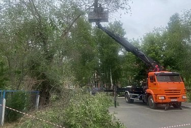 В детских садах ликвидированы аварийные деревья